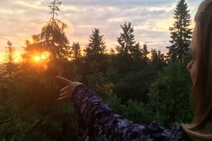 Blogi: Kestävää luomista metsän keskellä